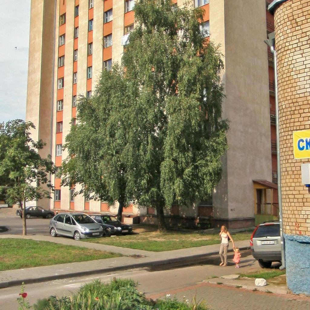 ул. Гришина д.118а