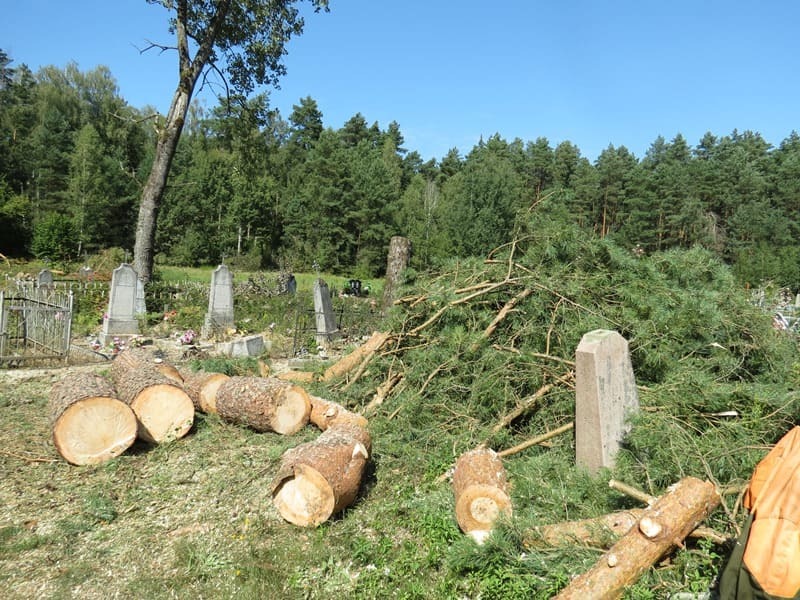 Упавшее дерево повредило надмогильные сооружения