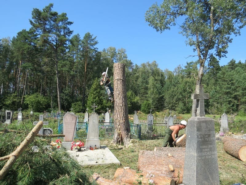 Упавшее дерево повредило надмогильные сооружения