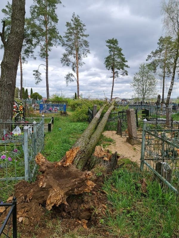 Упавшее дерево повредило надмогильные сооружения