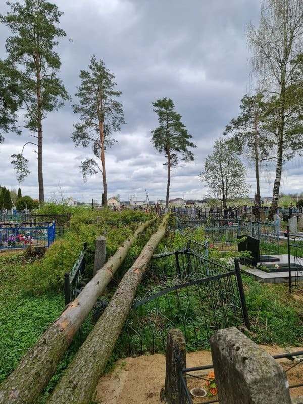 Упавшее дерево повредило надмогильные сооружения