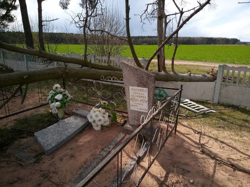 Упавшее дерево повредило надмогильные сооружения